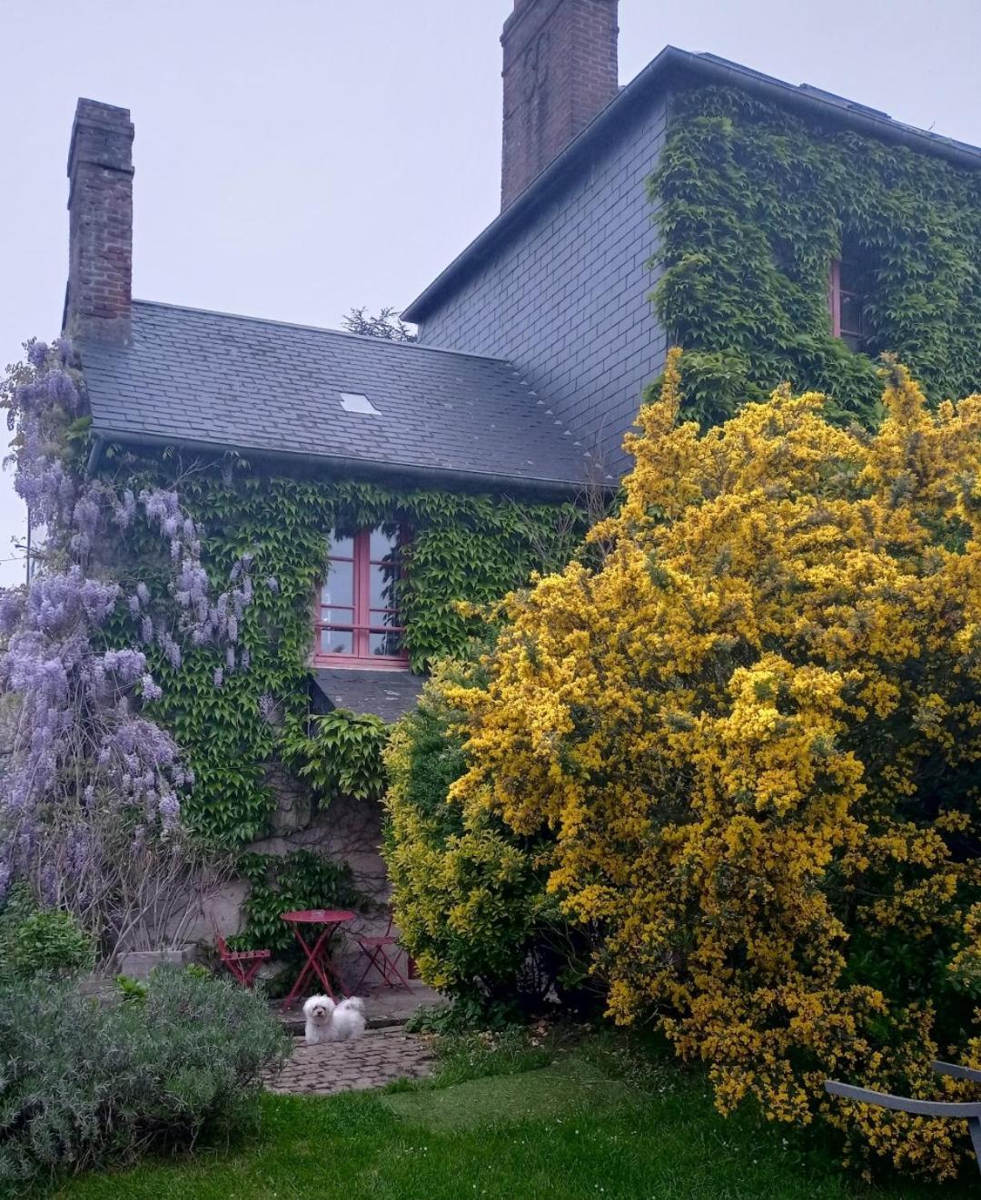Les Chambres D'Hotes Le Val D'Honfleur Экемовиль Экстерьер фото